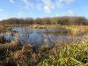 Monkton Pond