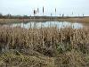 Rainton Meadows